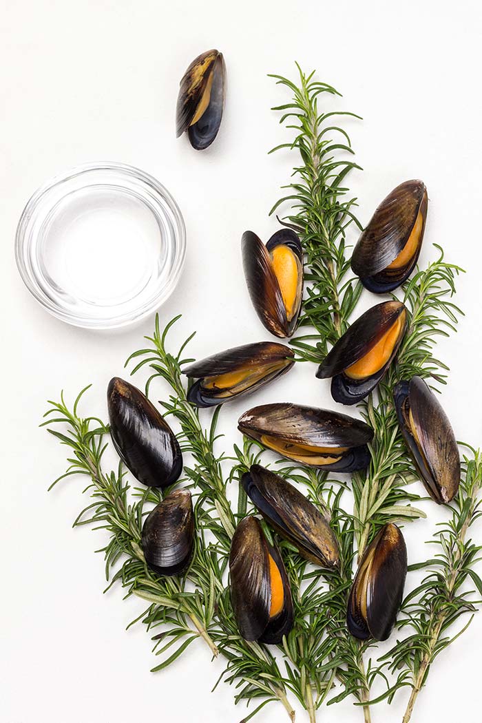 Dagnje, datule, pedoći, mušule - uzgoj školjaka u Savudrijskoj vali