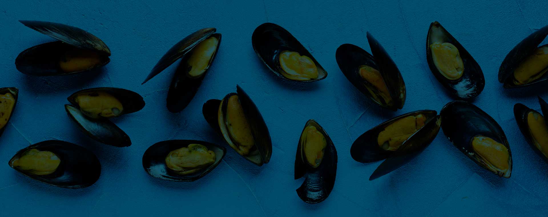 dagnja; dagnje; mušula; mušmula; pizdica; daglja; datul; pedoc; pidoc; pizdica; mušula; ušenak; školjka