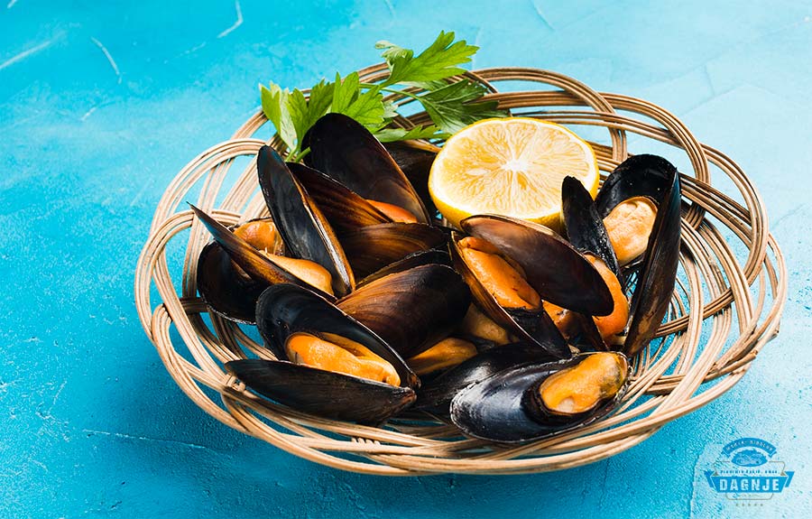 Servirane dagnje na tanjuru - Školjkera, uzgajalište školjaka dagnji na pomorskom dobru u Savudrijskoj vali