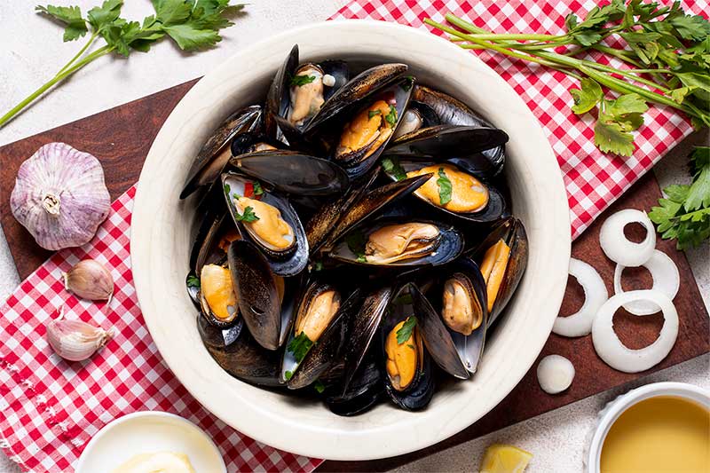 Dagnje, zovu ih i datule, pedoći, mušule, mušmula, pizdica, a latinsko im je ime Mytilus galloprovicialis