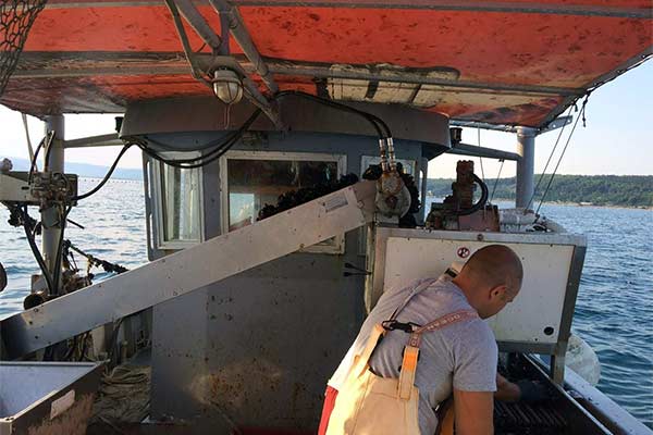 Dagnje, datule, pedoći, mušule - uzgajalište školjaka u Savudrijskoj vali