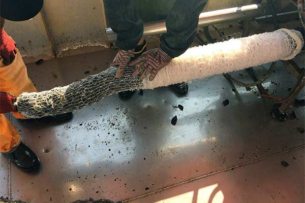 Dagnje, datule, pedoći, mušule - uzgajalište školjaka u Savudrijskoj vali